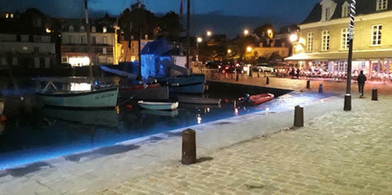 Appartement 1 Er Etage , St Goustan Port Auray Dış mekan fotoğraf